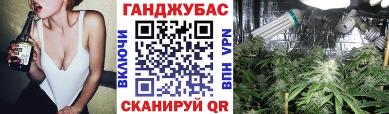 Где купить Череповец Alpha-PVP  Гашиш  МЕТАМФЕТАМИН  KRAKEN   Конопля 