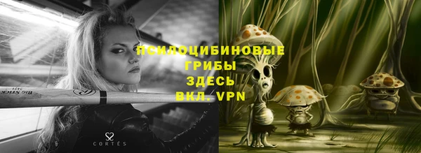 сатива Алексин