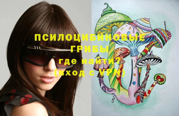 тгк Абаза