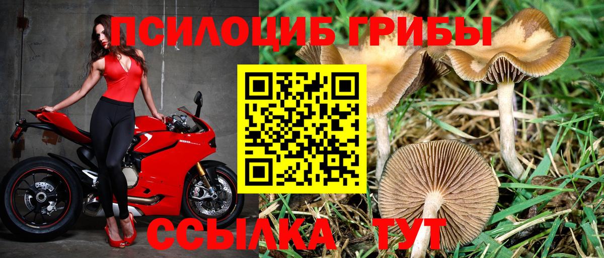 Псилоцибиновые грибы мухоморы Череповец