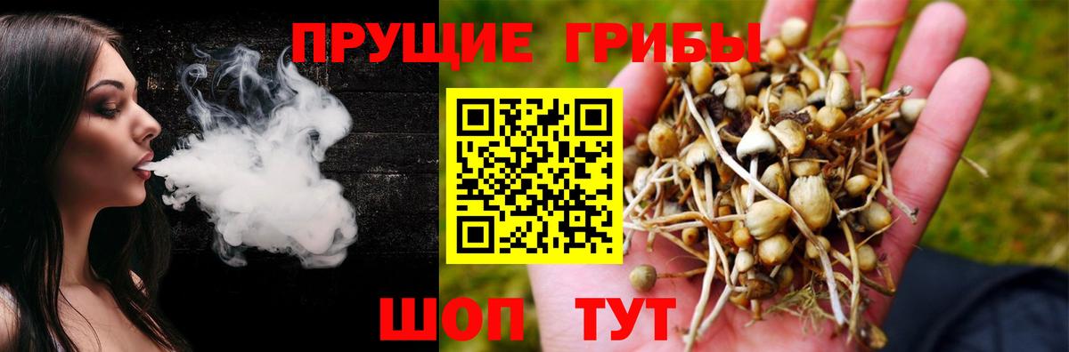 Череповец  Псилоцибиновые грибы ЛСД  Вход с VPN 